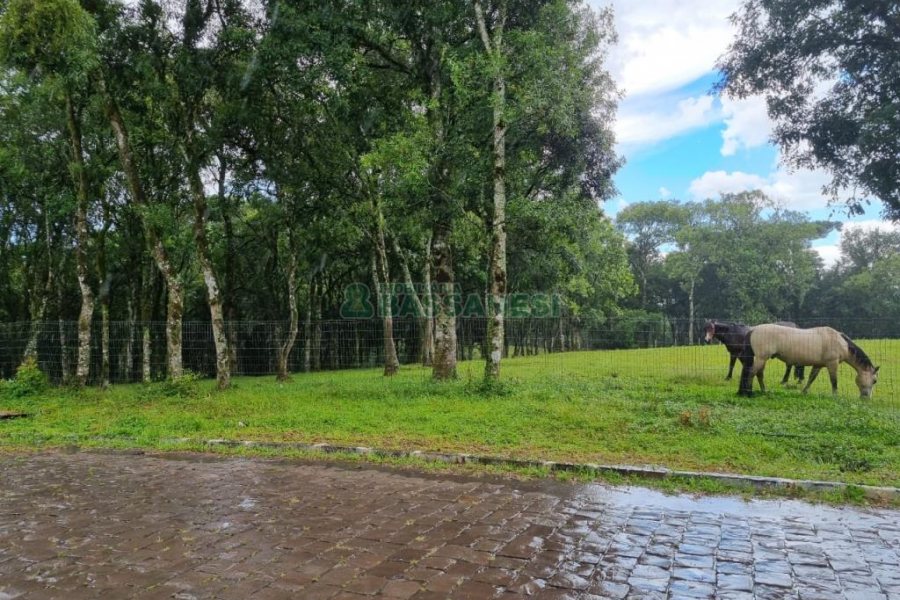 Terreno, no bairro Nossa Senhora do Rosário em Caxias do Sul para Comprar