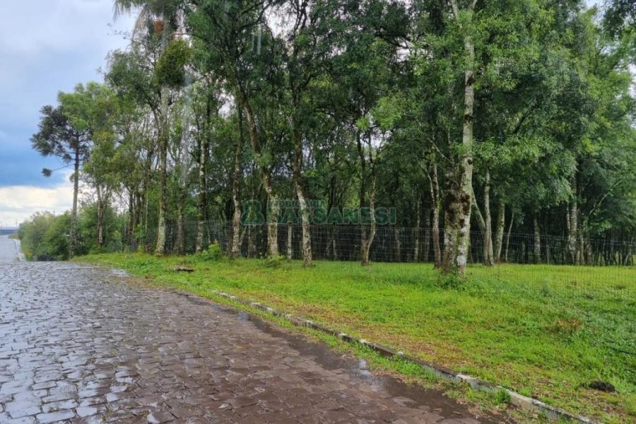 Terreno, no bairro Nossa Senhora do Rosário em Caxias do Sul para Comprar