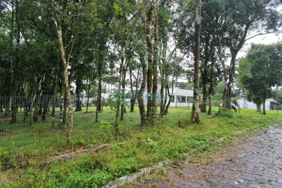 Terreno, no bairro Nossa Senhora do Rosário em Caxias do Sul para Comprar