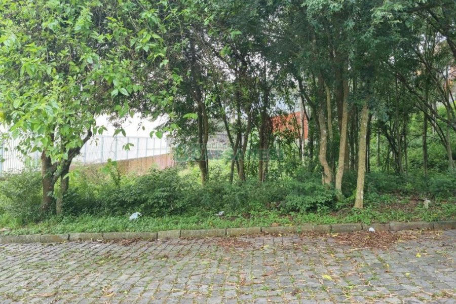 Terreno com 800m², no bairro Sant Etiene em Caxias do Sul para Comprar