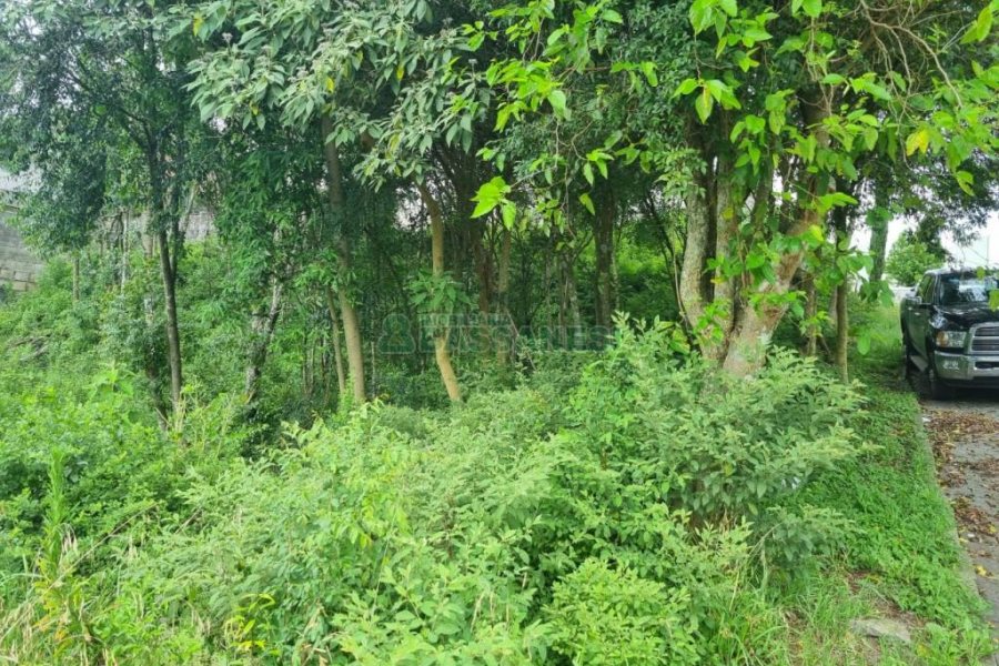 Terreno com 800m², no bairro Sant Etiene em Caxias do Sul para Comprar