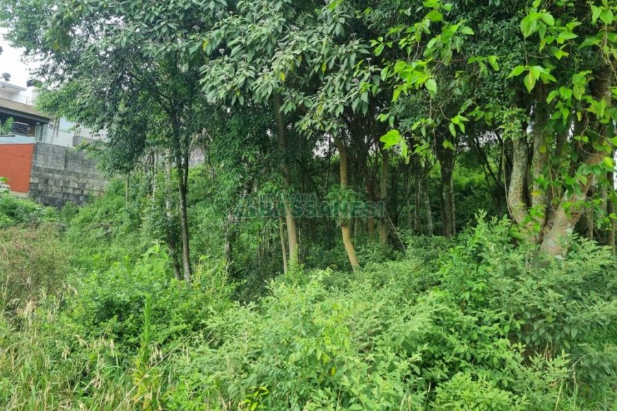 Terreno com 800m², no bairro Sant Etiene em Caxias do Sul para Comprar