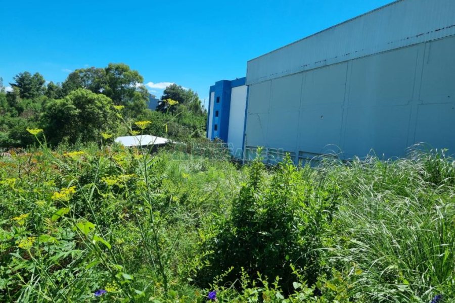 Terreno com 800m², no bairro Cinqüentenário em Caxias do Sul para Comprar