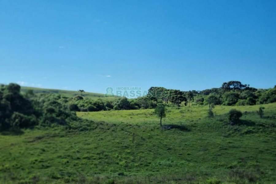 Chácara, no bairro Vila Seca em Caxias do Sul para Comprar