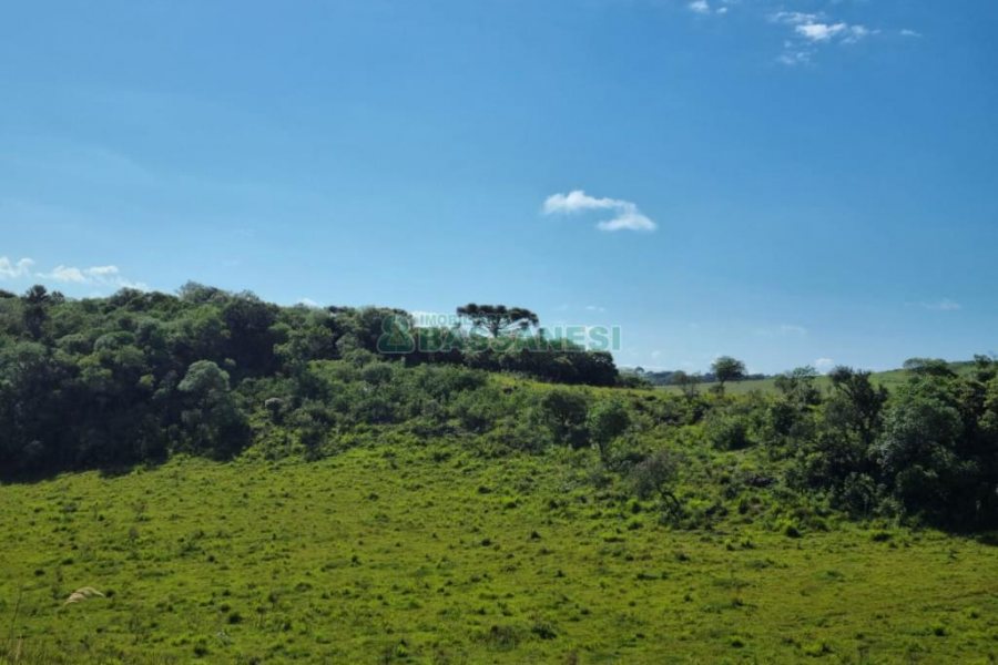 Chácara, no bairro Vila Seca em Caxias do Sul para Comprar