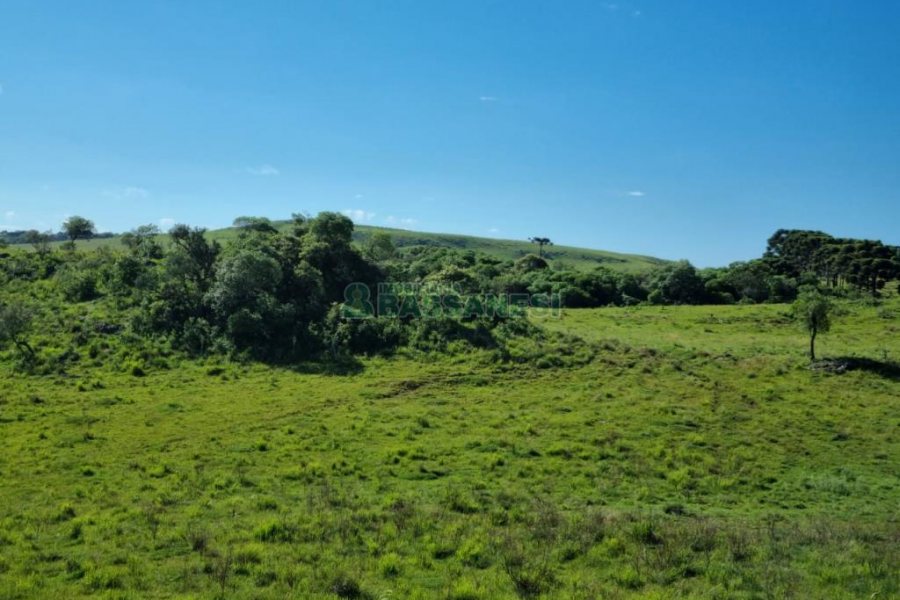 Chácara, no bairro Vila Seca em Caxias do Sul para Comprar