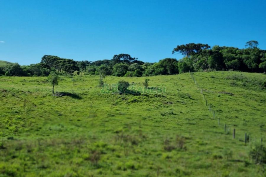 Chácara, no bairro Vila Seca em Caxias do Sul para Comprar