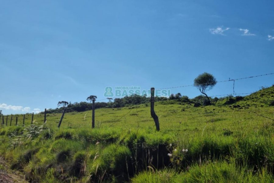 Chácara, no bairro Vila Seca em Caxias do Sul para Comprar