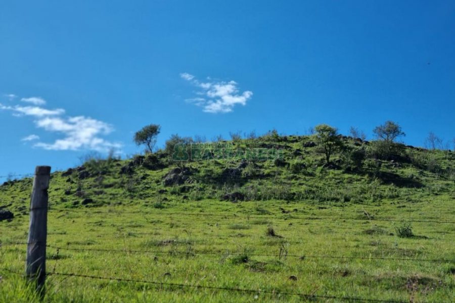 Chácara, no bairro Vila Seca em Caxias do Sul para Comprar