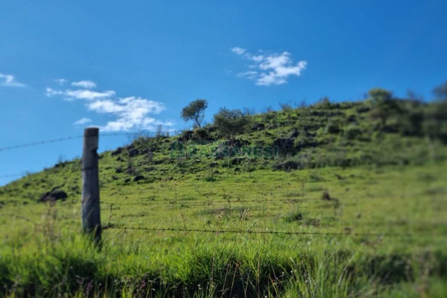 Chácara, no bairro Vila Seca em Caxias do Sul para Comprar