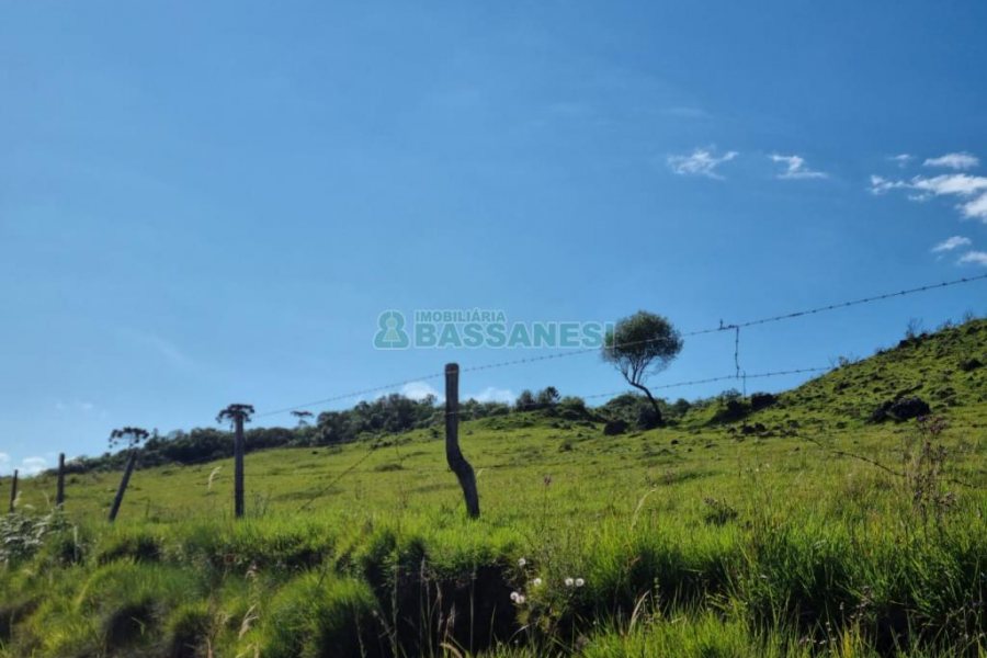 Chácara, no bairro Vila Seca em Caxias do Sul para Comprar