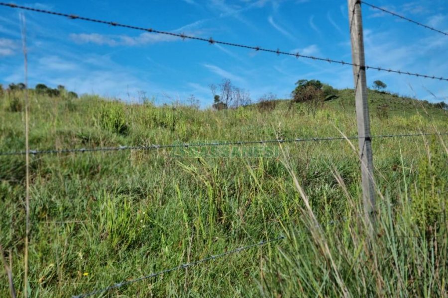 Chácara, no bairro Vila Seca em Caxias do Sul para Comprar