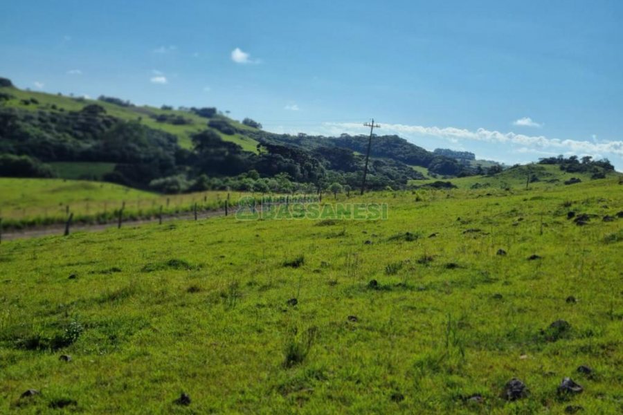 Chácara, no bairro Vila Seca em Caxias do Sul para Comprar