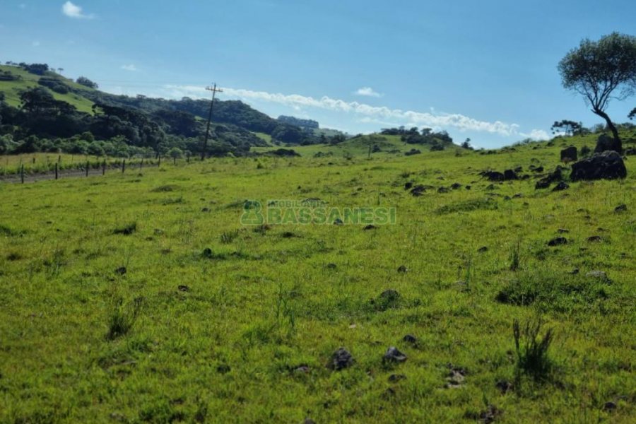 Chácara, no bairro Vila Seca em Caxias do Sul para Comprar