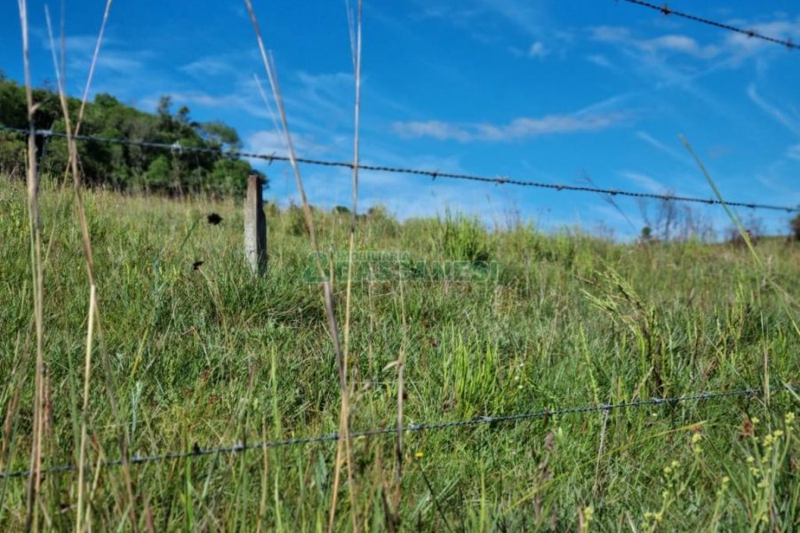 Chácara, no bairro Vila Seca em Caxias do Sul para Comprar