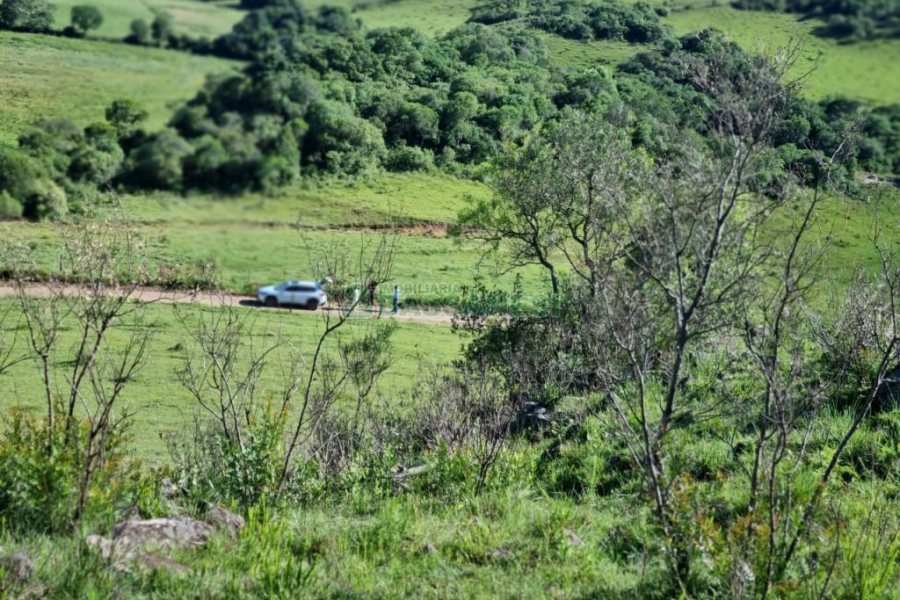 Chácara, no bairro Vila Seca em Caxias do Sul para Comprar