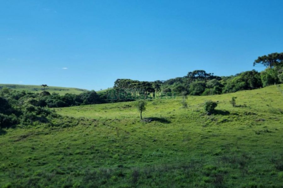 Chácara, no bairro Vila Seca em Caxias do Sul para Comprar