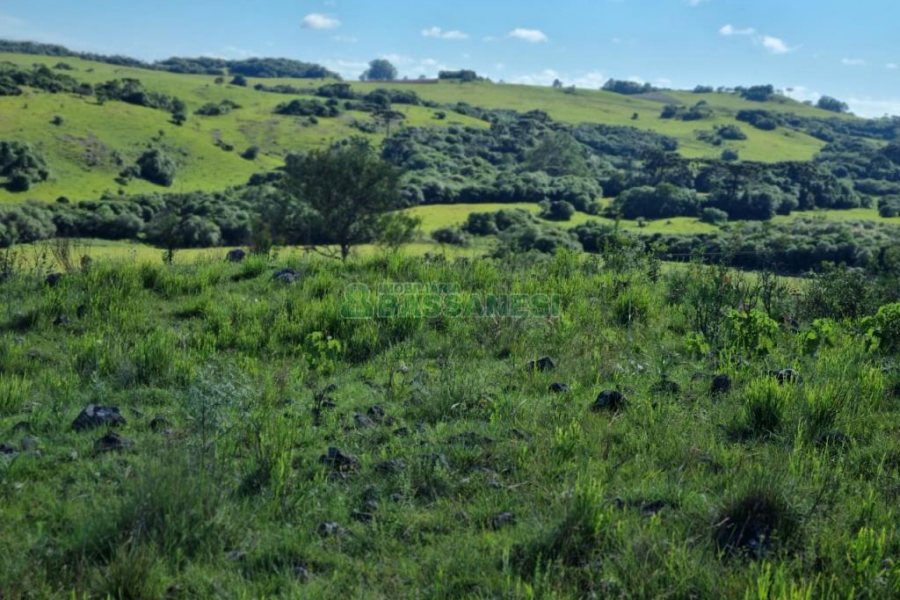 Chácara, no bairro Vila Seca em Caxias do Sul para Comprar