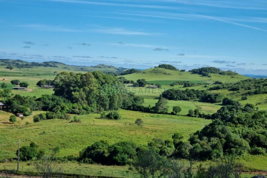 Chácara, no bairro Vila Seca em Caxias do Sul para Comprar