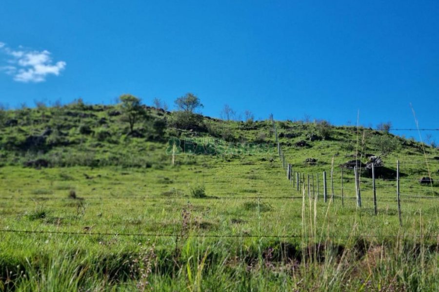 Chácara, no bairro Vila Seca em Caxias do Sul para Comprar