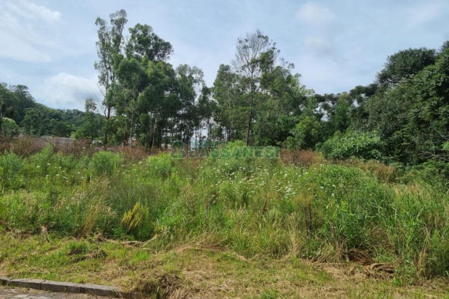 Terreno com 2412m², no bairro De Zorzi em Caxias do Sul para Comprar