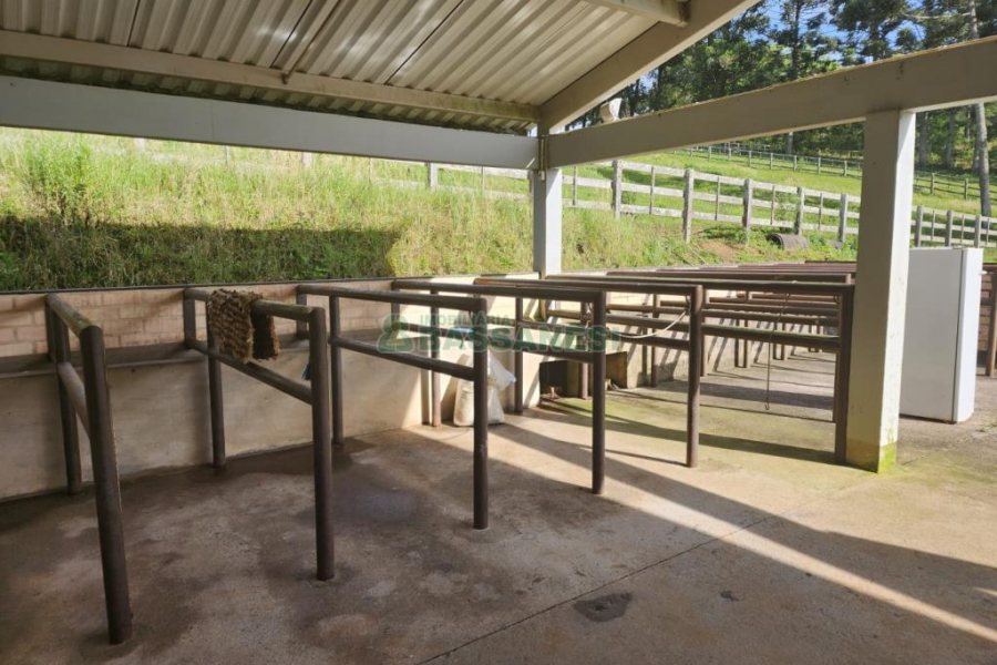 Chácara com 400m², 3 dormitórios, 4 vagas, no bairro De Lazzer em Caxias do Sul para Comprar