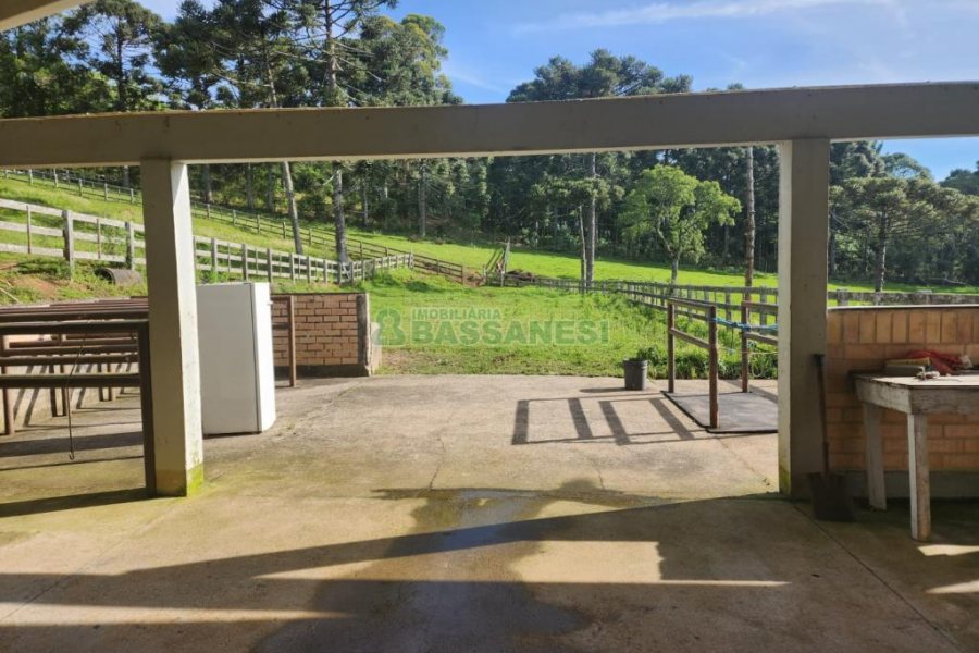 Chácara com 400m², 3 dormitórios, 4 vagas, no bairro De Lazzer em Caxias do Sul para Comprar