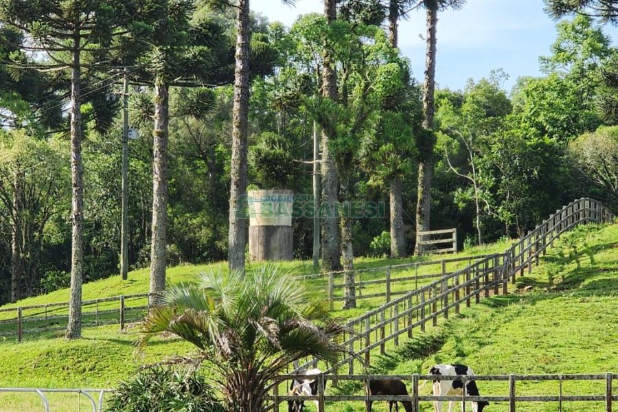 Chácara com 400m², 3 dormitórios, 4 vagas, no bairro De Lazzer em Caxias do Sul para Comprar
