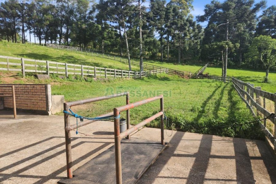 Chácara com 400m², 3 dormitórios, 4 vagas, no bairro De Lazzer em Caxias do Sul para Comprar