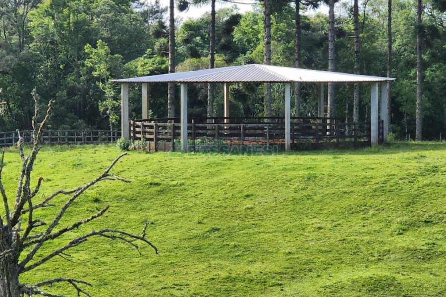 Chácara com 400m², 3 dormitórios, 4 vagas, no bairro De Lazzer em Caxias do Sul para Comprar