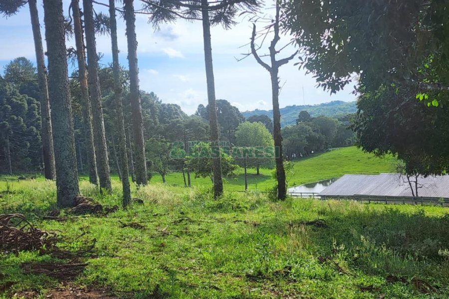 Chácara com 400m², 3 dormitórios, 4 vagas, no bairro De Lazzer em Caxias do Sul para Comprar