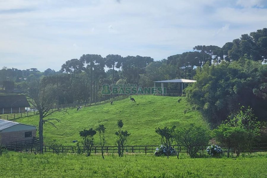 Chácara com 400m², 3 dormitórios, 4 vagas, no bairro De Lazzer em Caxias do Sul para Comprar