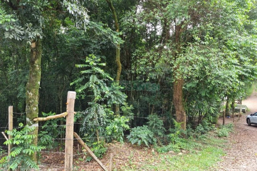 Terreno com 5000m², no bairro 3 Legua em Caxias do Sul para Comprar