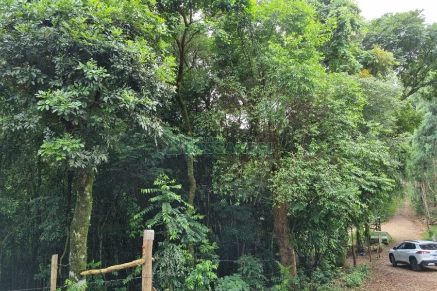 Terreno com 5000m², no bairro 3 Legua em Caxias do Sul para Comprar