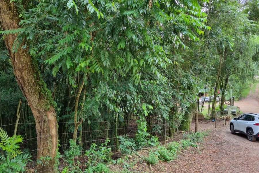 Terreno com 5000m², no bairro 3 Legua em Caxias do Sul para Comprar