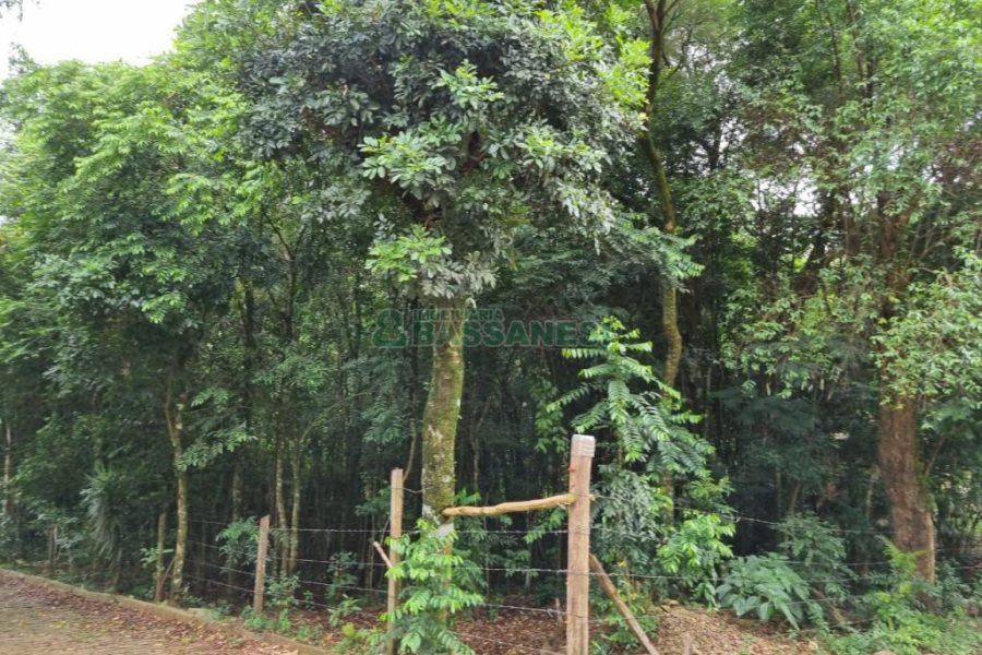 Terreno com 5000m², no bairro 3 Legua em Caxias do Sul para Comprar