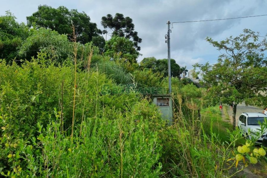 Terreno com 1185m², no bairro São Leopoldo em Caxias do Sul para Comprar