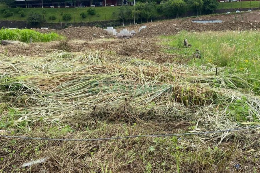 Terreno com 360m², no bairro Cidade Nova em Caxias do Sul para Alugar