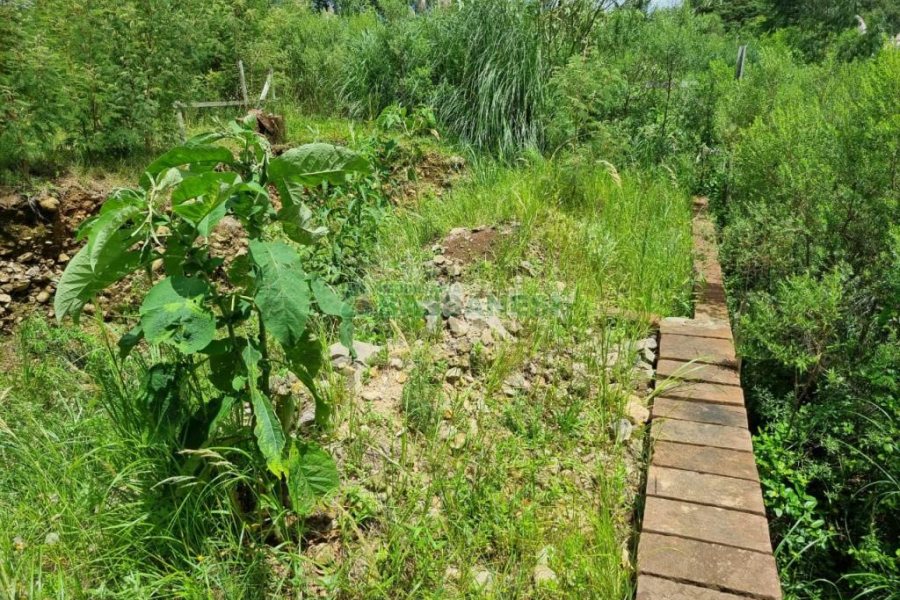 Terreno com 330m², no bairro De Zorzi em Caxias do Sul para Comprar