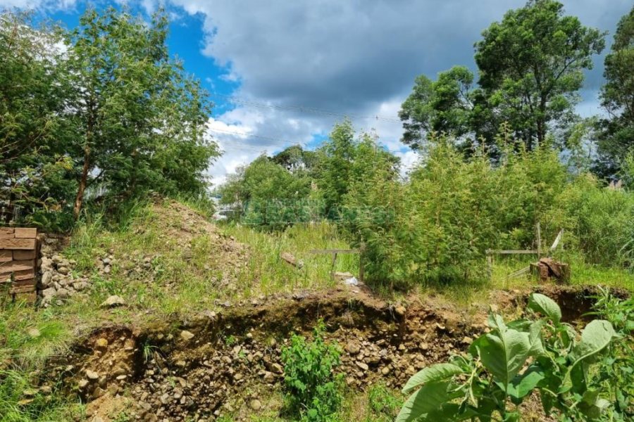 Terreno com 330m², no bairro De Zorzi em Caxias do Sul para Comprar