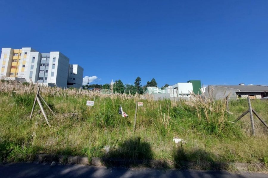 Terreno com 360m², no bairro São Luiz em Caxias do Sul para Comprar
