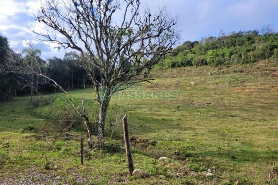 Chácara, no bairro 3 Legua em Caxias do Sul para Comprar