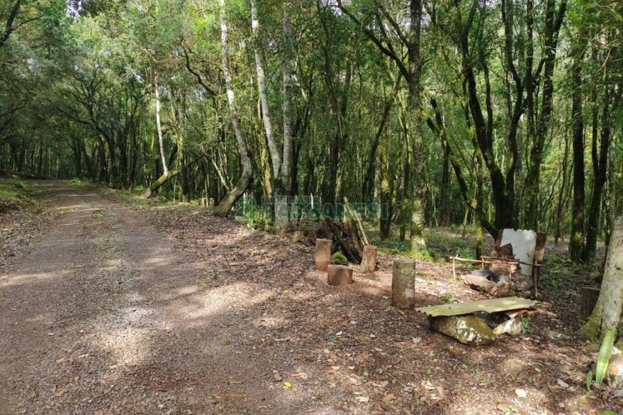 Chácara, no bairro Galópolis em Caxias do Sul para Comprar