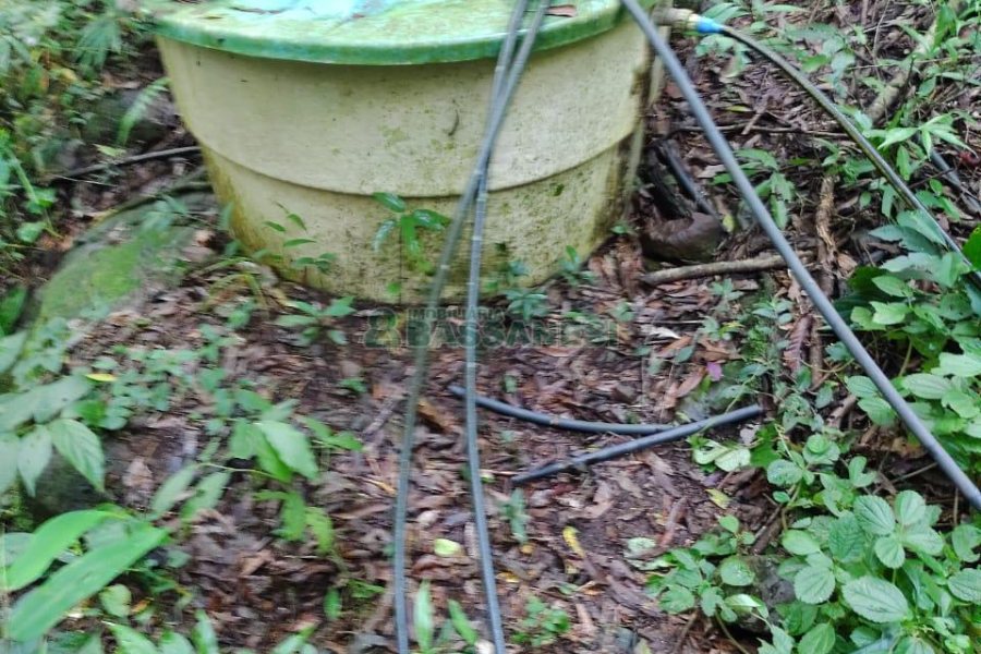 Chácara, no bairro Galópolis em Caxias do Sul para Comprar