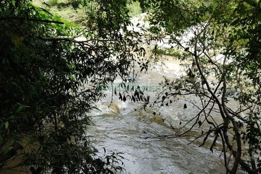 Chácara, no bairro Galópolis em Caxias do Sul para Comprar