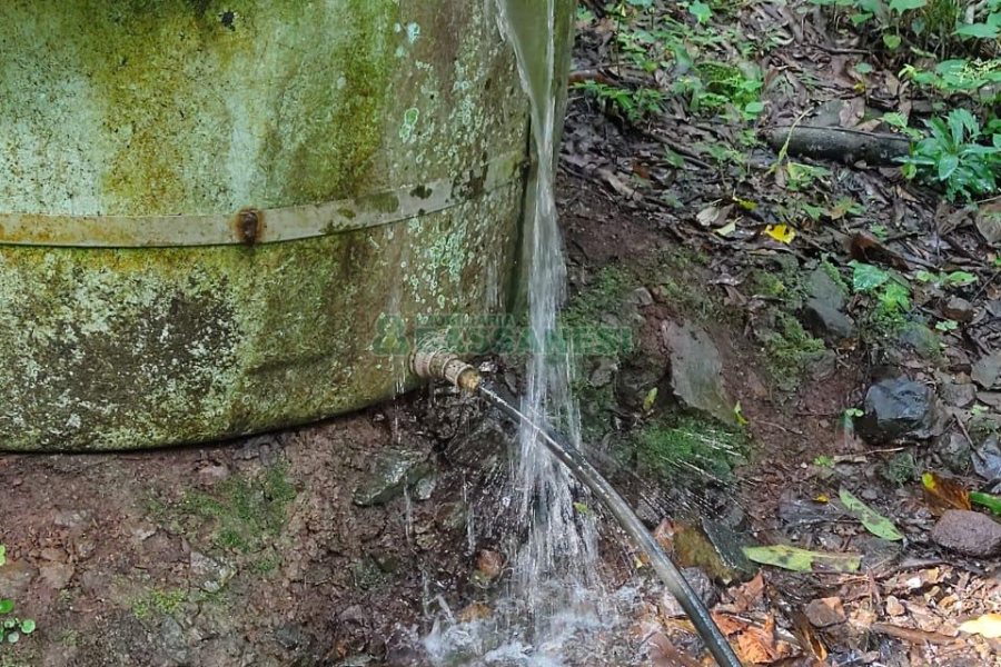 Chácara, no bairro Galópolis em Caxias do Sul para Comprar