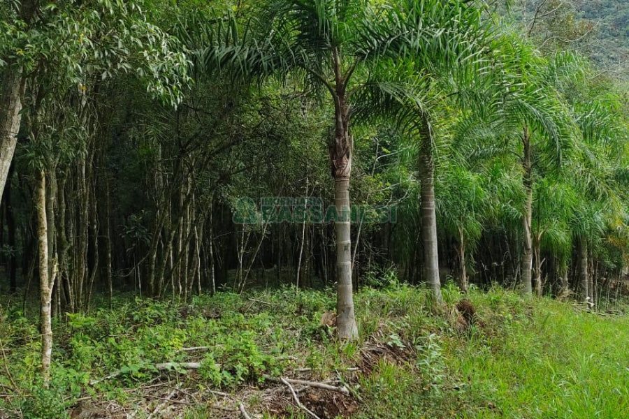 Chácara, no bairro Galópolis em Caxias do Sul para Comprar