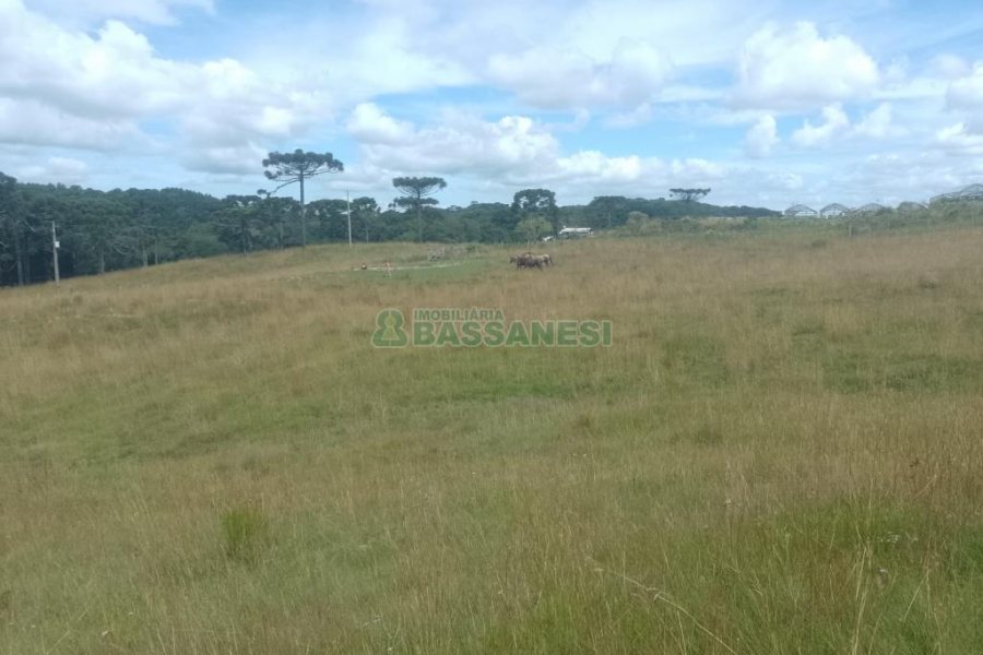 Chácara, no bairro Vila Seca em Caxias do Sul para Comprar