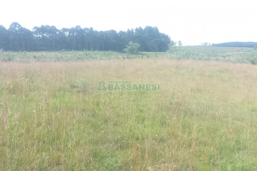 Chácara, no bairro Vila Seca em Caxias do Sul para Comprar