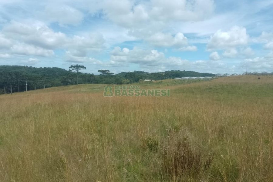 Chácara, no bairro Vila Seca em Caxias do Sul para Comprar